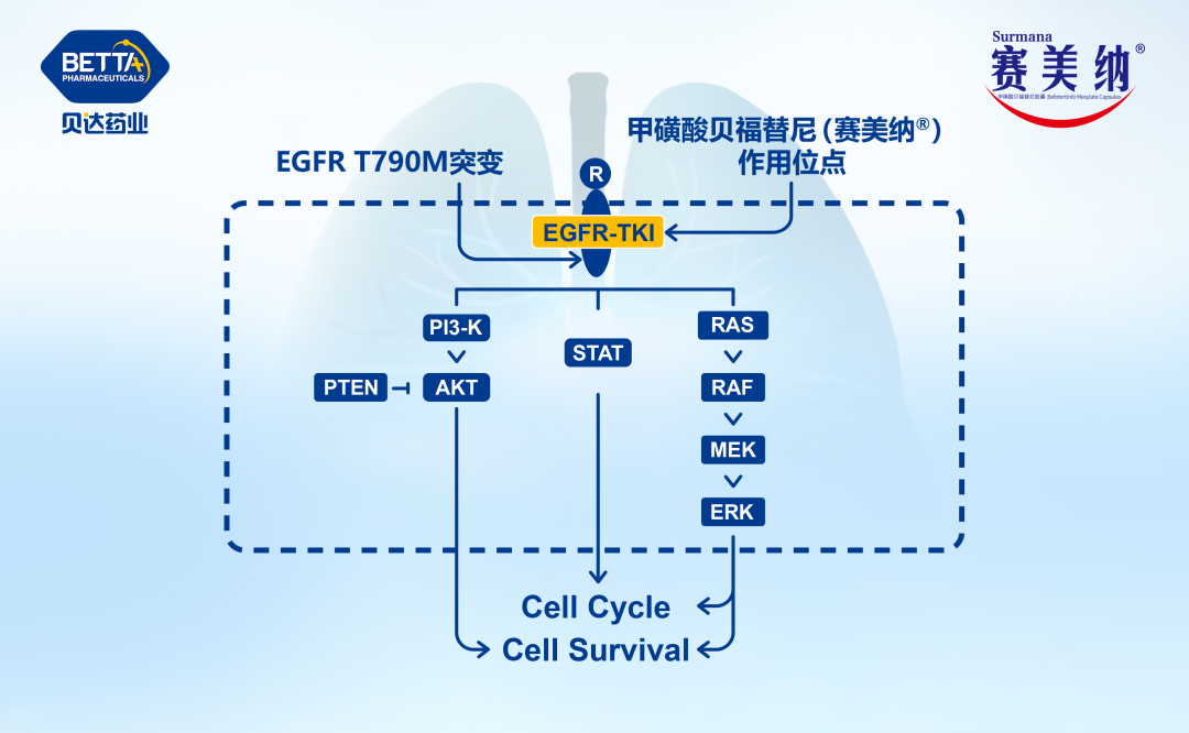 微信图片_20230525150221.jpg