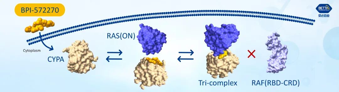 1769678353174401.jpg 微信图片_2026-01-29_171756_739.jpg